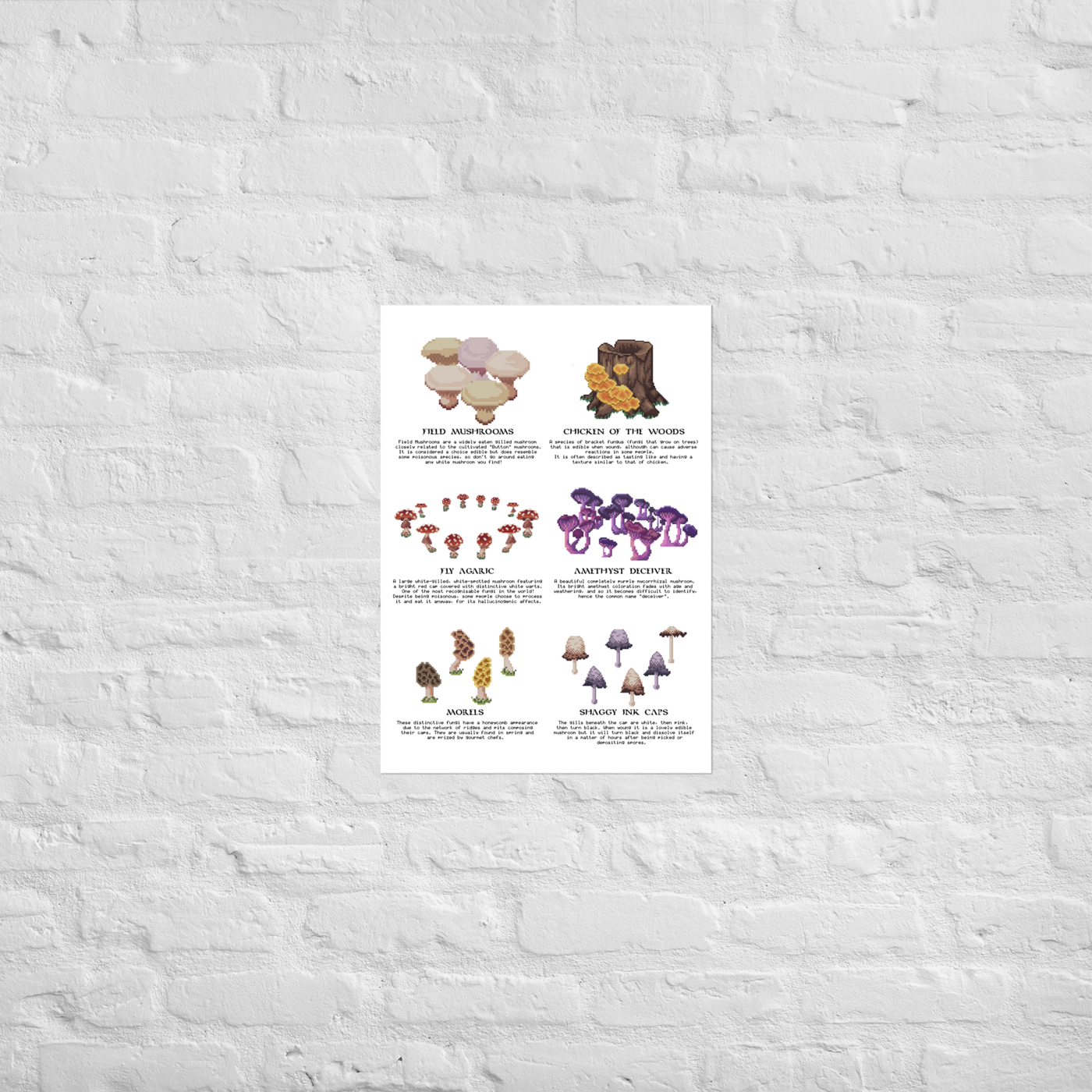 Multiple Mushrooms Poster